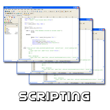 scripting.jpg, 62kB