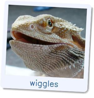 wiggles